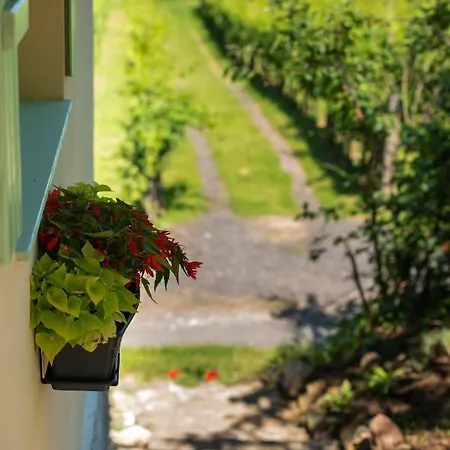 Villa Bon Zalaszentgrót