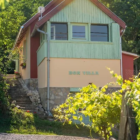 Bon Villa Zalaszentgrot