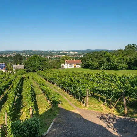 Villa Bon